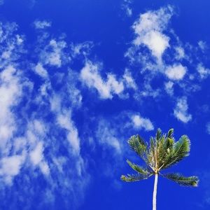 Meet your Posher, Estee